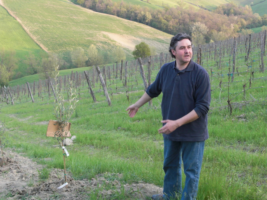 カミッロドナーティ