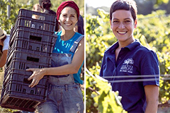 カンティーナマリリーナ