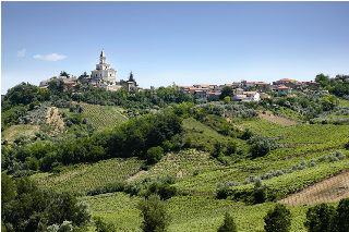 カンティーナトッロ