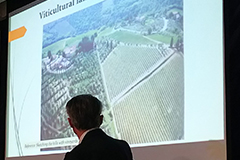 ロレンツォコリーノ氏