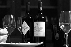 カステッロディボルゲリ