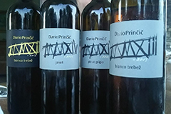 ダリオプリンチッチ