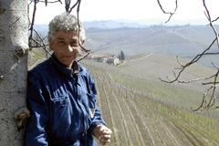 ヴィンテージワイン