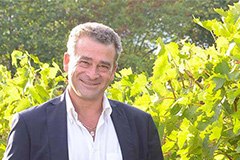 イルマッロネート