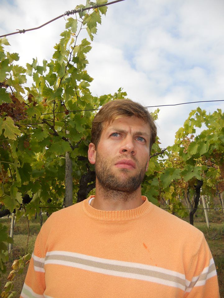 ダニエーレピッチニン