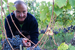 ユーリフィオーレ