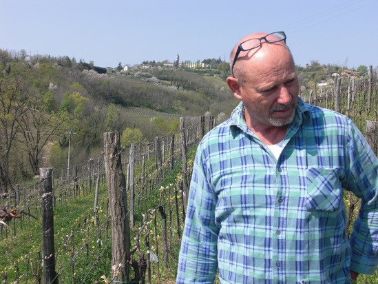 スタンコラディコン