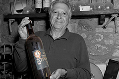 サルヴィオーニ