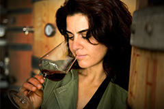 ステッラディカンパルト