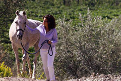 ロッソディモンタルチーノ