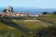 スキアヴェンツァ畑