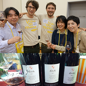 カーゼコリーニ